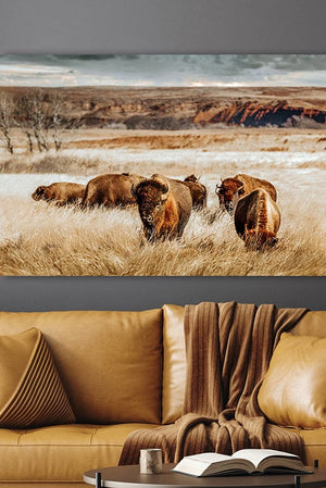 Buffalo Bison wall art canvas – rustic prairie photography print by Debra Gail Fine Art
