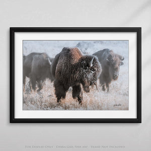 Buffalo Bison wall art canvas – rustic prairie photography print by Debra Gail Fine Art