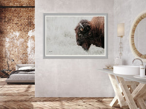 Bison wall art – neutral sepia rustic prairie photography print by Debra Gail Fine Art