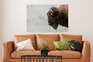 Bison wall art – neutral sepia rustic prairie photography print by Debra Gail Fine Art
