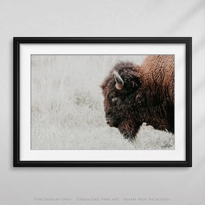 Bison wall art – neutral sepia rustic prairie photography print by Debra Gail Fine Art
