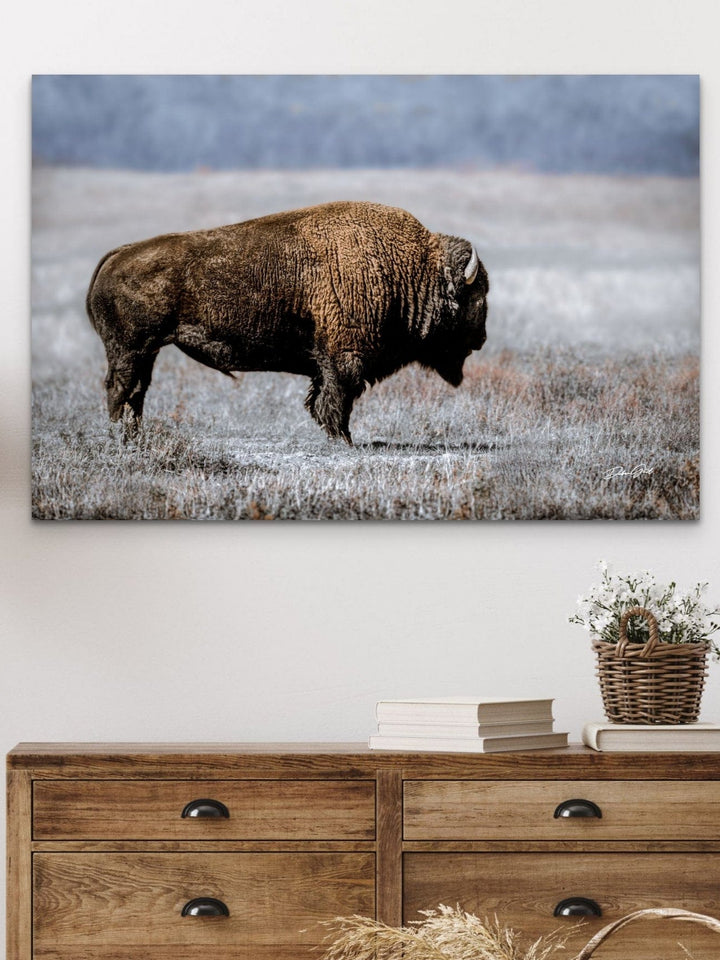 American Bison Wall Art | Buffalo & Western Prints – Debra Gail Fine Art