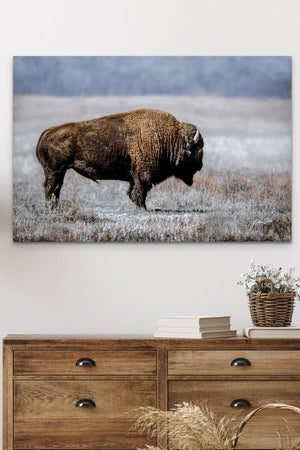 Buffalo Bison wall art canvas – blue tones rustic prairie photography print
