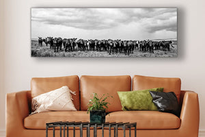 Angus cow wall art canvas print  – Western ranch fine art photography by Debra Gail Fine Art