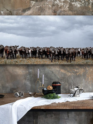 Debra Gail Fine Art BLACK ANGUS ART PRINT - WIDE FARMHOUSE DECOR