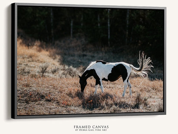 Debra Gail Fine Art Black Framed Canvas / 10x8 BEAUTIFUL HORSE ART PRINT - WYOMING PHOTOGRAPHY