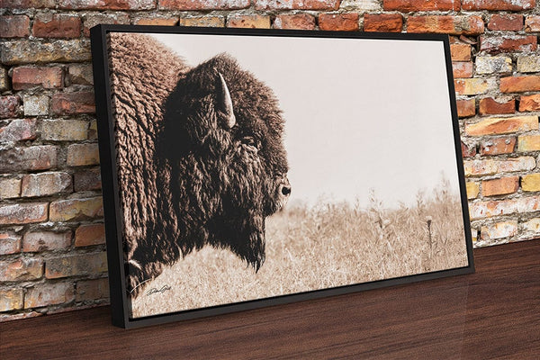 Debra Gail Fine Art Black Framed Canvas / 10x8 Bison Close Up - Rustic Western Wall Art - Fine Art Canvas or Print