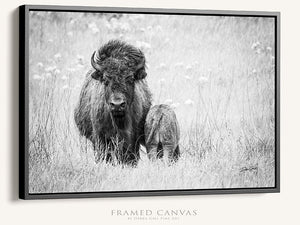 Bison wall art – rustic prairie photography print by Debra Gail Fine Art