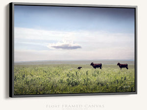 buffalo split panel triptych wall art – rustic Western canvas prints