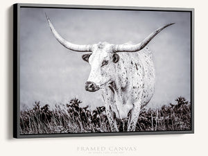 Longhorn wall decor – rustic Western fine art print by Debra Gail Fine Art