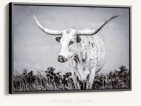 Debra Gail Fine Art Black Framed Canvas / 10x8 Boho Western Decor Art - Longhorn Canvas Print