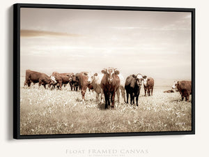 Cattle cow wall decor canvas – farmhouse fine art print by Debra Gail Fine Art