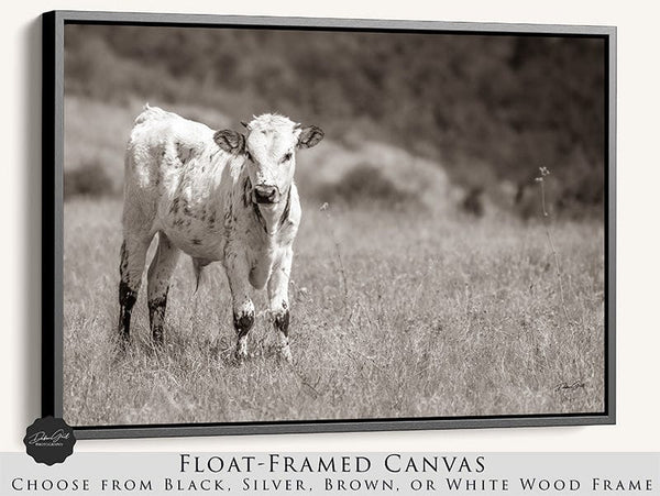 Debra Gail Fine Art Black Framed Canvas / 10x8 Cute Longhorn Calf Print - Farmhouse Decor