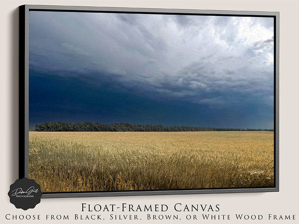 Debra Gail Fine Art Black Framed Canvas / 10x8 GOLDEN WHEAT FIELD IN STORMY SKIES - FARMHOUSE DECOR