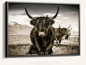 Highland cow wall art – rustic farmhouse fine art print by Debra Gail Fine Art