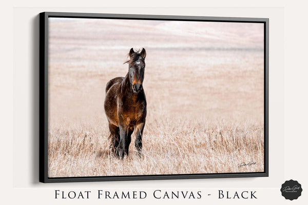 Debra Gail Fine Art Black Framed Canvas / 10x8 HORSE ON THE PRAIRIE - WESTERN DECOR PRINT