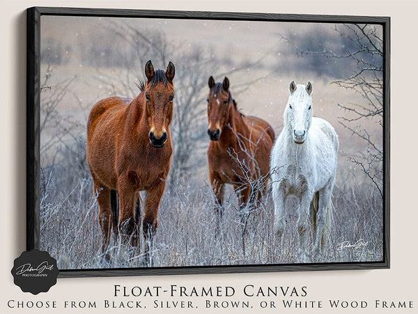 Debra Gail Fine Art Black Framed Canvas / 10x8 HORSES IN WINTER - NATURE PHOTOGRAPHY DECOR