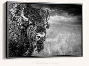 Buffalo wall art – Great Plains wildlife wall decor by Debra Gail Fine Art