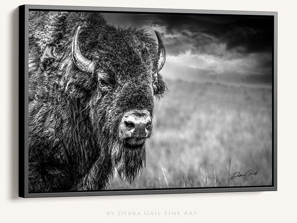 Debra Gail Fine Art Black Framed Canvas / 10x8 HUGE BISON CLOSE UP PRINT - BUFFALO WALL ART