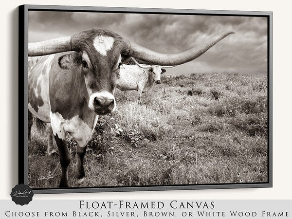 Debra Gail Fine Art Black Framed Canvas / 10x8 Large Longhorn Western Wall Art