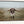 Debra Gail Fine Art Black Framed Canvas / 10x8 Large Longhorn Western Wall Art