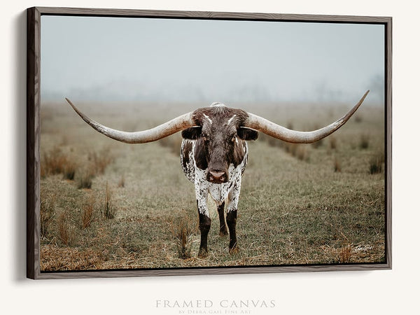 Debra Gail Fine Art Black Framed Canvas / 10x8 Large Longhorn Western Wall Art