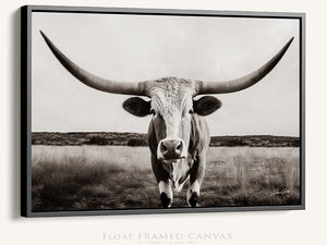 Longhorn cow wall decor canvas – rustic Western fine art print by Debra Gail Fine Art