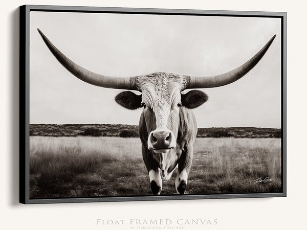 Debra Gail Fine Art Black Framed Canvas / 10x8 Large Texas Longhorn Sepia Canvas Print