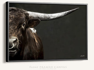 Texas Longhorn wall art – Western ranch photography print by Debra Gail Fine Art