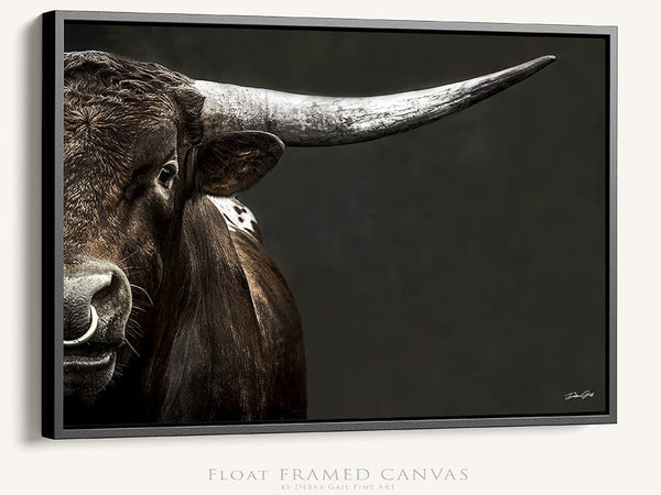 Debra Gail Fine Art Black Framed Canvas / 10x8 Large Western Decor Longhorn Bull Art Print