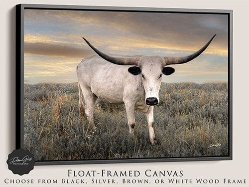 Debra Gail Fine Art Black Framed Canvas / 10x8 Lone Star Western Decor Texas Longhorn Print Canvas