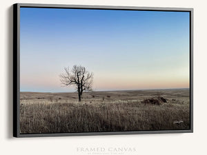 Flint Hills wall art – prairie tree landscape photography by Debra Gail Fine Art