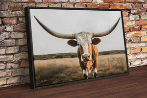 Texas Longhorn wall canvas barnwood framed Western fine art print by Debra Gail Fine Art