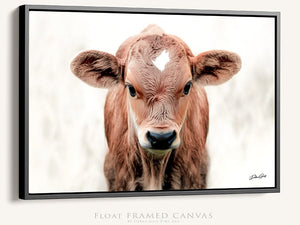 Longhorn cow calf wall at canvas – rustic Western fine art print by Debra Gail Fine Art