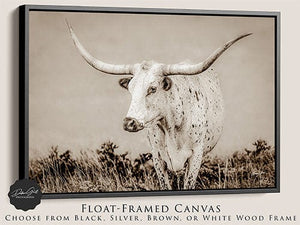 Texas Longhorn wall canvas barnwood framed Western fine art print by Debra Gail Fine Art
