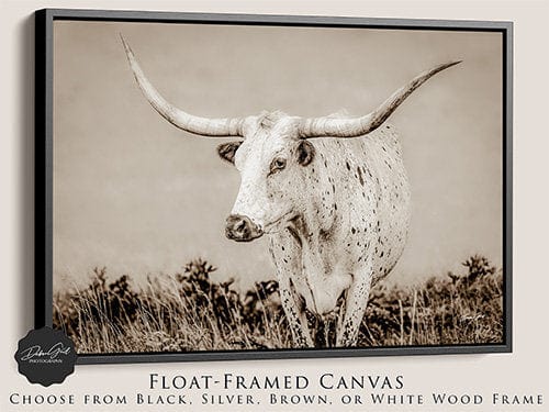 Debra Gail Fine Art Black Framed Canvas / 10x8 Longhorn Canvas Wall Art in Neutral Farmhouse Colors