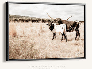 Texas Longhorn wall canvas barnwood framed Western fine art print by Debra Gail Fine Art