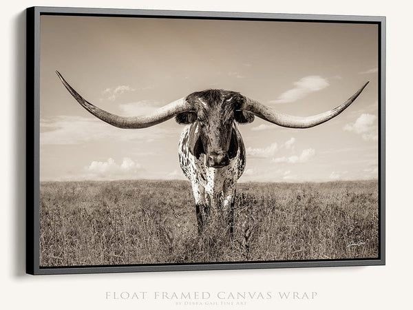 Debra Gail Fine Art Black Framed Canvas / 10x8 Longhorn Cow Print or Canvas by Debra Gail - Neutral Farmhouse Decor