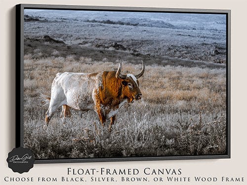 Debra Gail Fine Art Black Framed Canvas / 10x8 Longhorn Wall Art Canvas Print