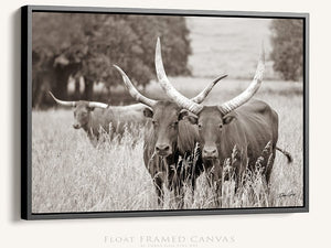 Longhorn cow wall decor canvas – rustic Western fine art print by Debra Gail Fine Art