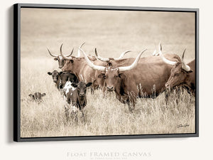 Longhorn cow wall decor canvas – rustic Western fine art print by Debra Gail Fine Art