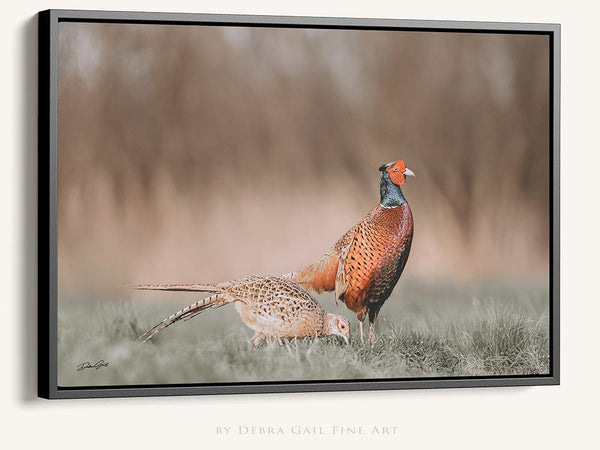 Debra Gail Fine Art Black Framed Canvas / 10x8 Majestic Pheasant Pair - Rustic Nature Wall Art No. 0718