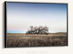 Kansas Flint Hills wall art – sunrise prairie landscape photography by Debra Gail Fine Art