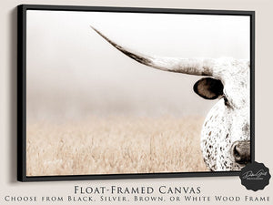 Texas Longhorn wall art – Western ranch photography print by Debra Gail Fine Art