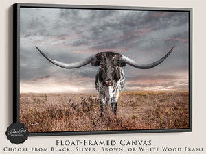 Texas Longhorn wall canvas barnwood framed Western fine art print by Debra Gail Fine Art