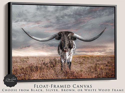 Debra Gail Fine Art Black Framed Canvas / 10x8 Modern Longhorn Canvas Wall Art Print