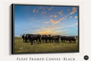 Angus cow canvas wall art – Western ranch fine art photography by Debra Gail Fine Art