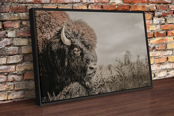 Debra Gail Fine Art Black Framed Canvas / 10x8 Rustic Bison Western Wall Art - Fine Art Canvas or Print No. 2185