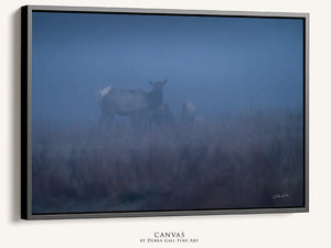 Elk wall art – Western wildlife fine art photography by Debra Gail Fine Art