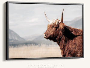 Highland cow wall art – rustic farmhouse fine art print by Debra Gail Fine Art